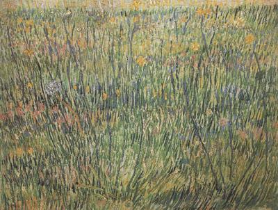 Vincent Van Gogh Pasture in Bloom (nn04) oil painting picture